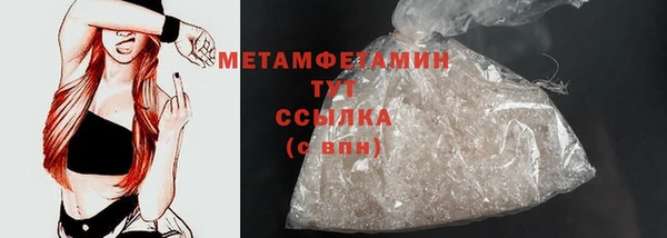 индика Верхний Тагил