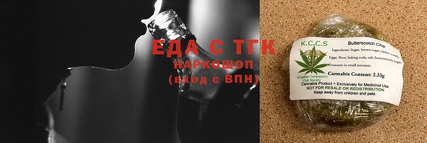 индика Верхний Тагил