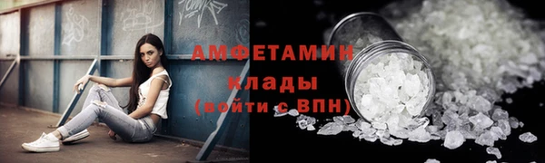 индика Верхний Тагил