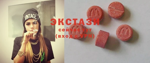 индика Верхний Тагил