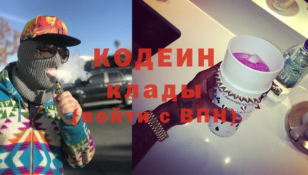 индика Верхний Тагил