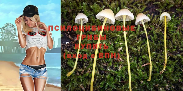 индика Верхний Тагил