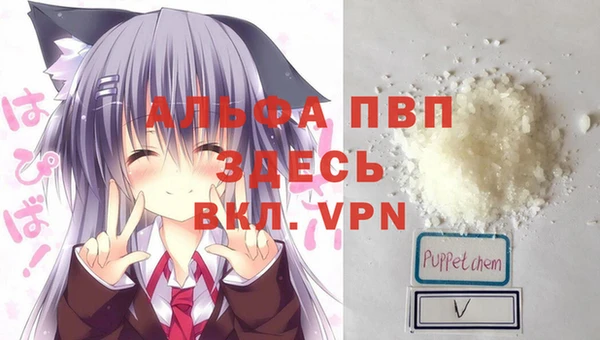 индика Верхний Тагил