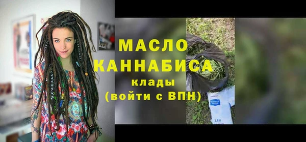 индика Верхний Тагил